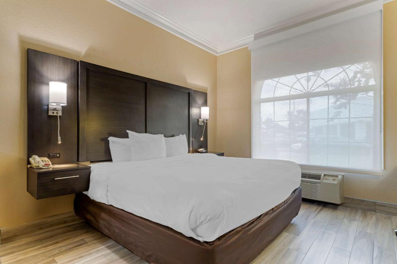 Comfort Suites Kingwood Houston North Humble 59 Εξωτερικό φωτογραφία